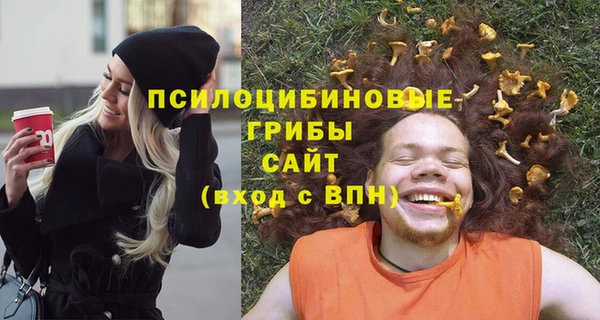 ГАЛЛЮЦИНОГЕННЫЕ ГРИБЫ Абдулино