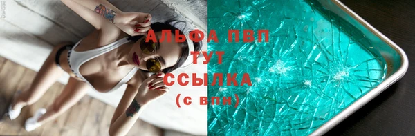 СК Абинск