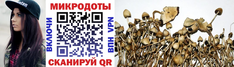 Псилоцибиновые грибы прущие грибы  ссылка на мегу   Адыгейск 